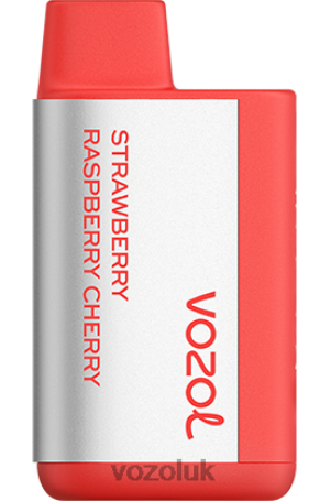 VOZOL Disposable Vape - VOZOL TIGO 600 2NXX8373 STRAWBERRY RASPBERRY CHERRY