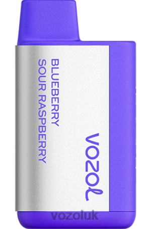 VOZOL London - VOZOL TIGO 600 2NXX8365 BLUEBERRY SOUR RASPBERRY