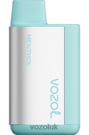 VOZOL Vape Flavours - VOZOL TIGO 600 2NXX8369 MENTHOL