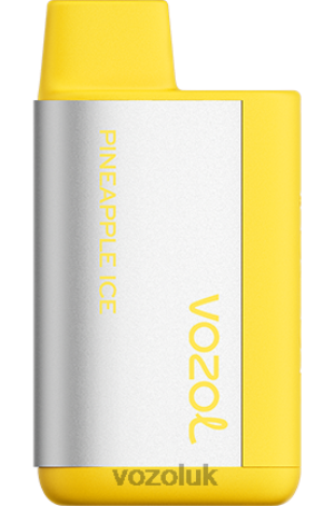 VOZOL Vape UK - VOZOL TIGO 600 2NXX8371 PINEAPPLE ICE