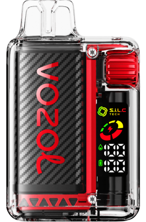VOZOL Disposable Vape - VOZOL VISTA 16000/20000 2NXX813 RASPBERRY WATERMELON