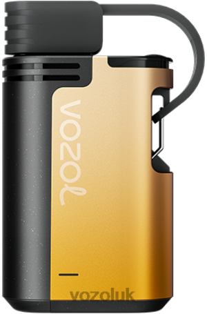 VOZOL Buy UK - VOZOL GEAR 4000C/6000 2NXX8327 MANGO PASSION FRUIT