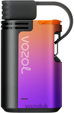 VOZOL London - VOZOL GEAR 4000C/6000 2NXX8325 GRAPE ICE
