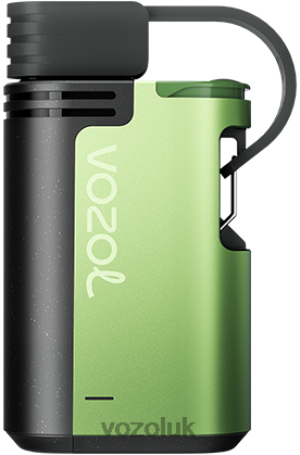 VOZOL Vape Flavours - VOZOL GEAR 4000C/6000 2NXX8329 WATERMELON ICE