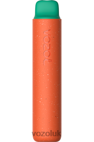 VOZOL Disposable Vape - VOZOL STAR 2000 2NXX8163 RASPBERRY WATERMELON
