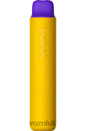 VOZOL Vape Flavours - VOZOL STAR 2000 2NXX8159 MANGO ICE