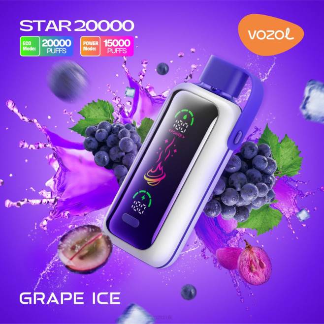VOZOL STAR 20000 442T9 GRAPE ICE Vozol Vape Flavours