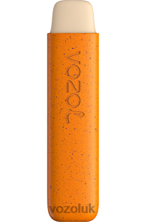 VOZOL Vape Price - VOZOL STAR 550 2NXX8146 STRAWBERRY MANGO
