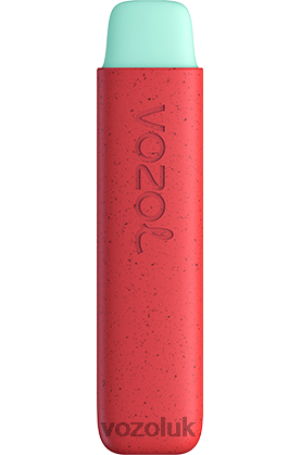 VOZOL Vape Review - VOZOL STAR 550 2NXX8138 APPLE PEACH