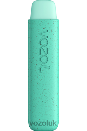 VOZOL Vape UK - VOZOL STAR 550 2NXX8141 COOL MINT