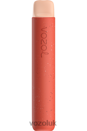 STRAWBERRY ICE CREAM