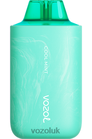 VOZOL Buy UK - VOZOL STAR 6000/8000 V2 2NXX857 COOL MINT