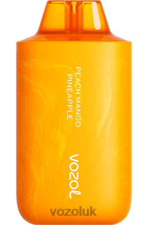 VOZOL Disposable Vape - VOZOL STAR 6000/8000 V2 2NXX863 PEACH MANGO PINEAPPLE