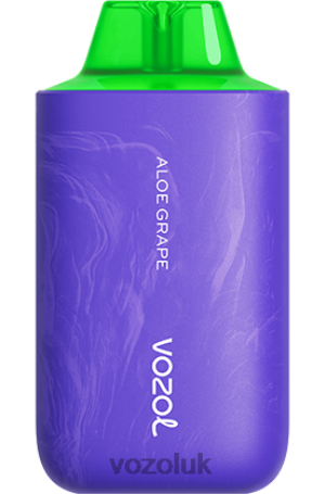 VOZOL UK - VOZOL STAR 6000/8000 V2 2NXX854 ALOE GRAPE