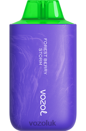 VOZOL Vape Flavours - VOZOL STAR 6000/8000 V2 2NXX859 FOREST BERRY STORM