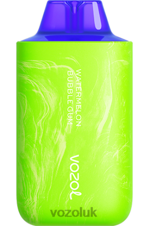 VOZOL Vape Flavours - VOZOL STAR 6000/8000 V2 2NXX869 WATERMELON BUBBLE GUM