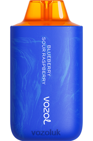 VOZOL Vape Price - VOZOL STAR 6000/8000 V2 2NXX856 BLUEBERRY SOUR RASPBERRY