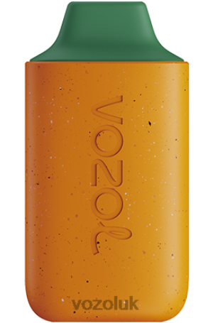 MANGO PEACH WATERMELON