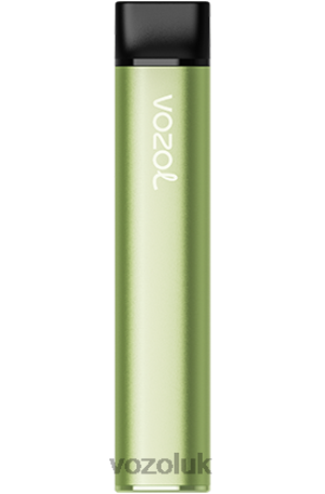 VOZOL Disposable Vape - VOZOL SWITCH 600 2NXX8223 COOL MINT