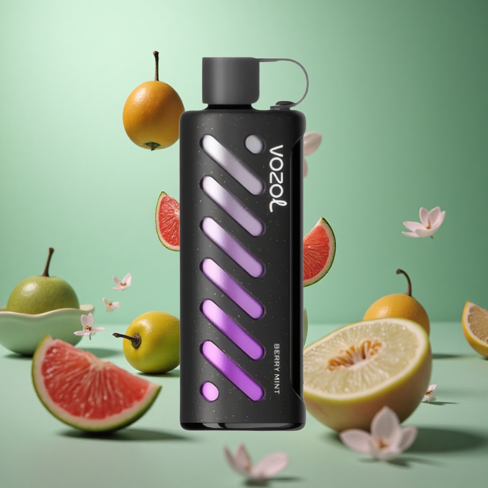 Berry Mint VOZOL Gear Shisha 25000 Puffs Dual Mesh S.i.L.C Tech