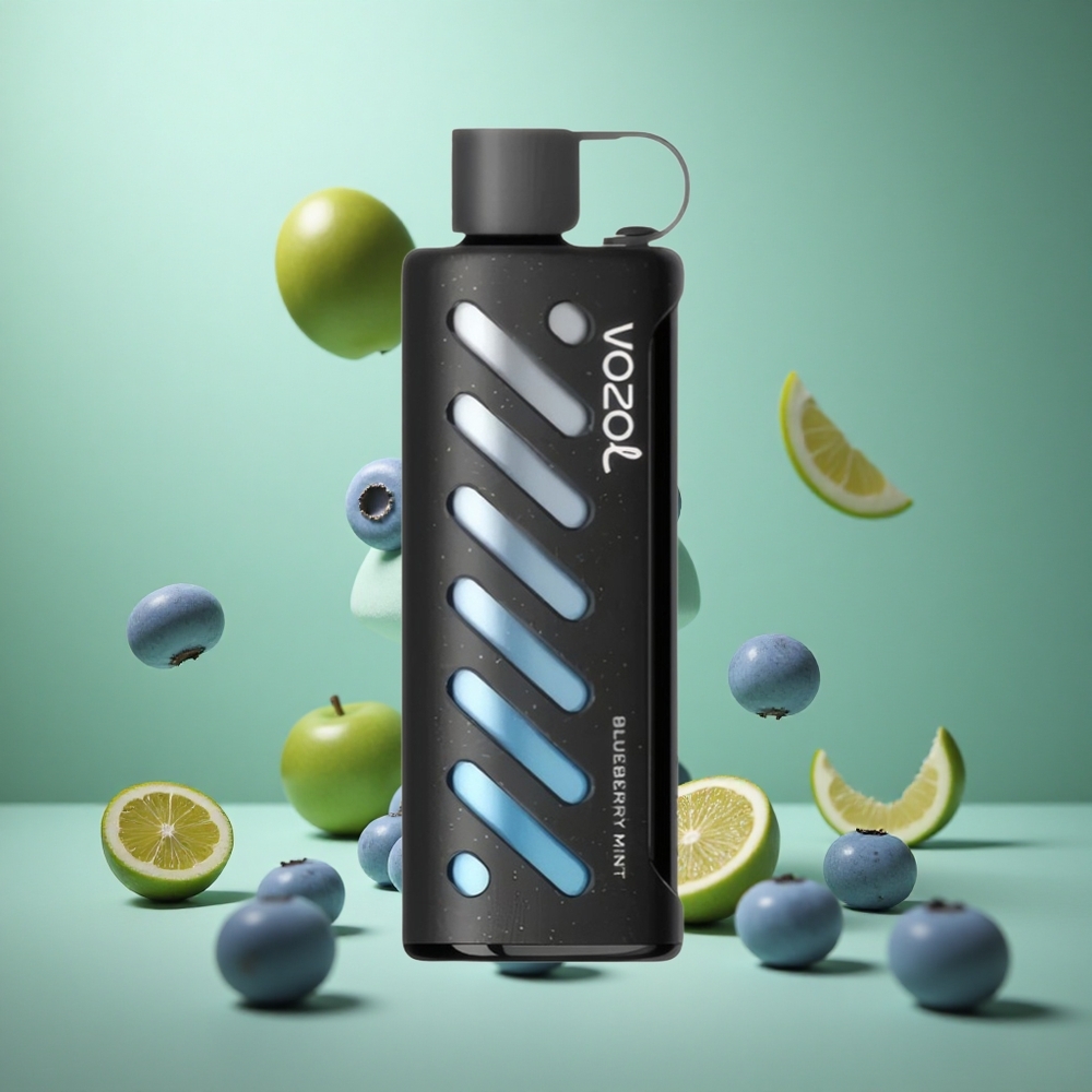 Blueberry Mint VOZOL Gear Shisha 25000 Puffs Dual Mesh S.i.L.C Tech