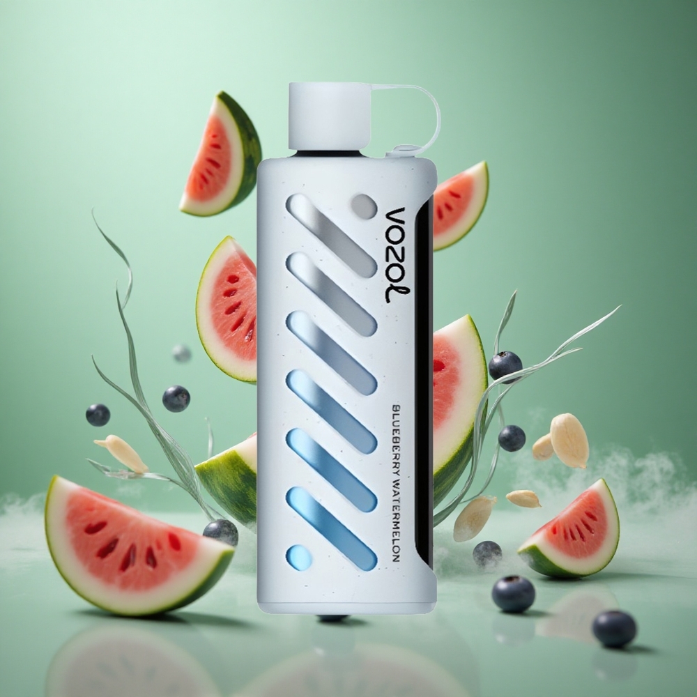 Blueberry Watermelon VOZOL Gear Shisha 25000 Puffs Dual Mesh Disposable Vape