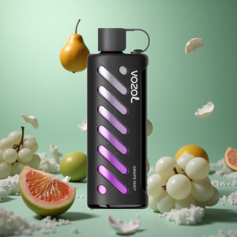 Grape Mint VOZOL Gear Shisha 25000 Puffs Dual Mesh S.i.L.C Tech
