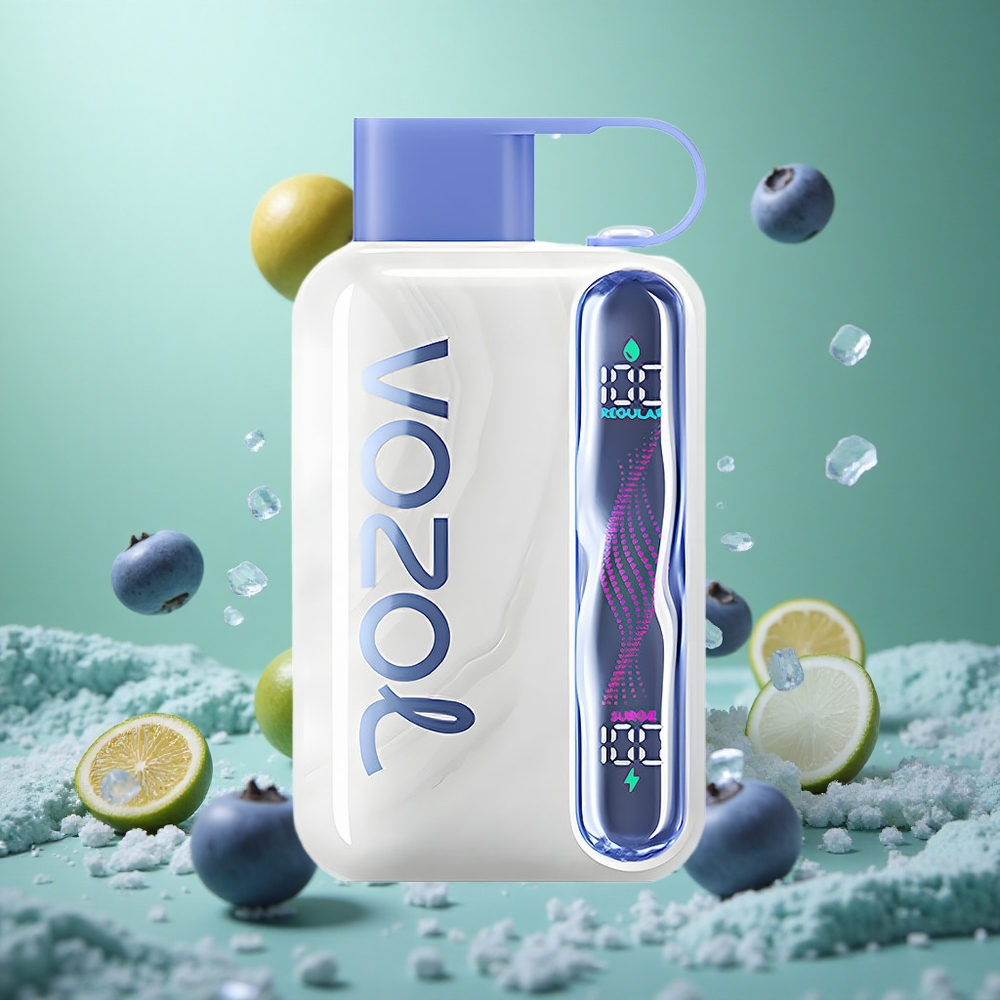 Blueberry Ice VOZOL STAR 40000 Puffs 1000mAh Type-C Disposable Vape
