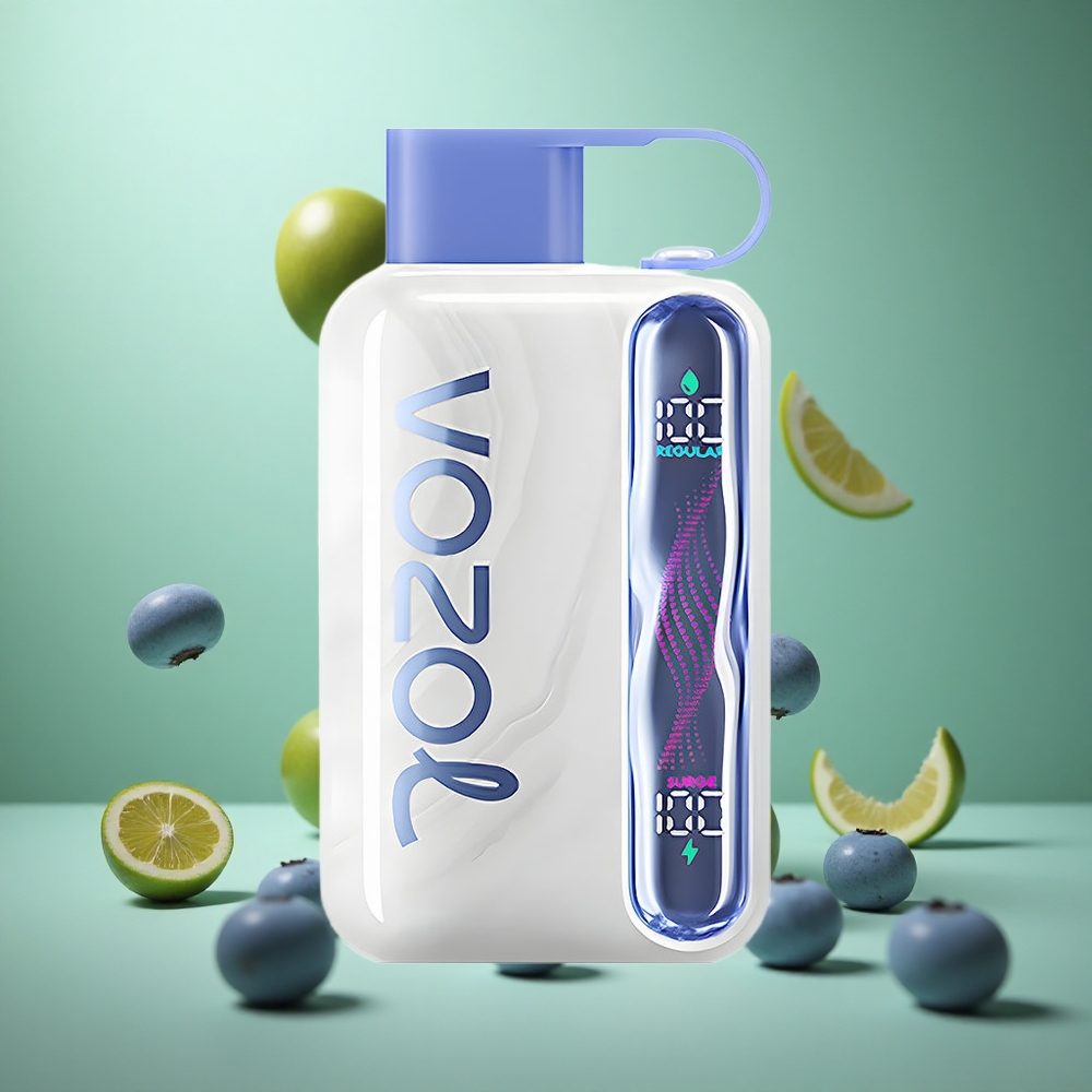 Blueberry Mint VOZOL STAR 40000 Puffs Disposable Vape 1000mAh Type-C