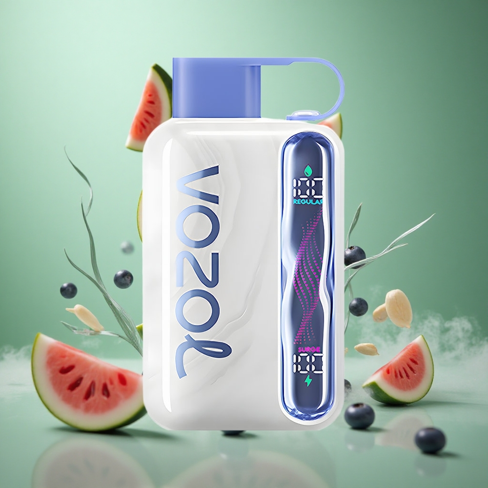 Blueberry Watermelon VOZOL STAR 40000 Puffs 1000mAh Type-C Disposable Vape