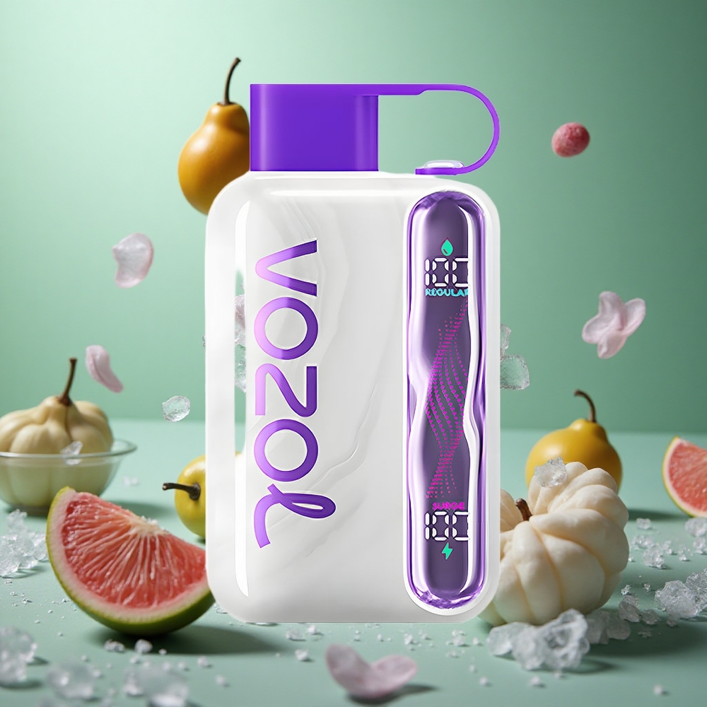 Grape Ice VOZOL STAR 40000 Puffs 1000mAh Type-C Disposable Vape