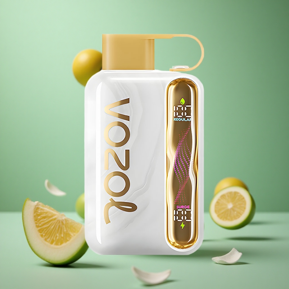 Melon Gum VOZOL STAR 40000 Puffs Disposable Vape 1000mAh Type-C