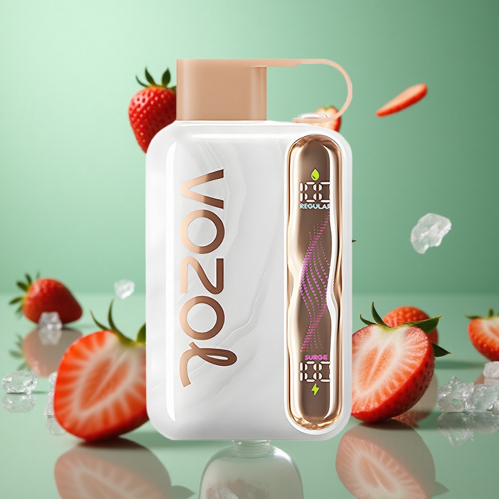Strawberry Ice VOZOL STAR 40000 Puffs 1000mAh Type-C Disposable Vape