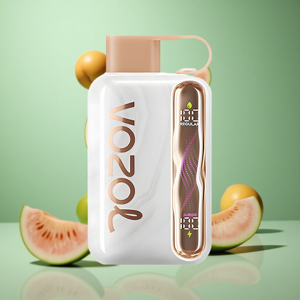 Strawmelon Peach VOZOL STAR 40000 Puffs 1000mAh Type-C