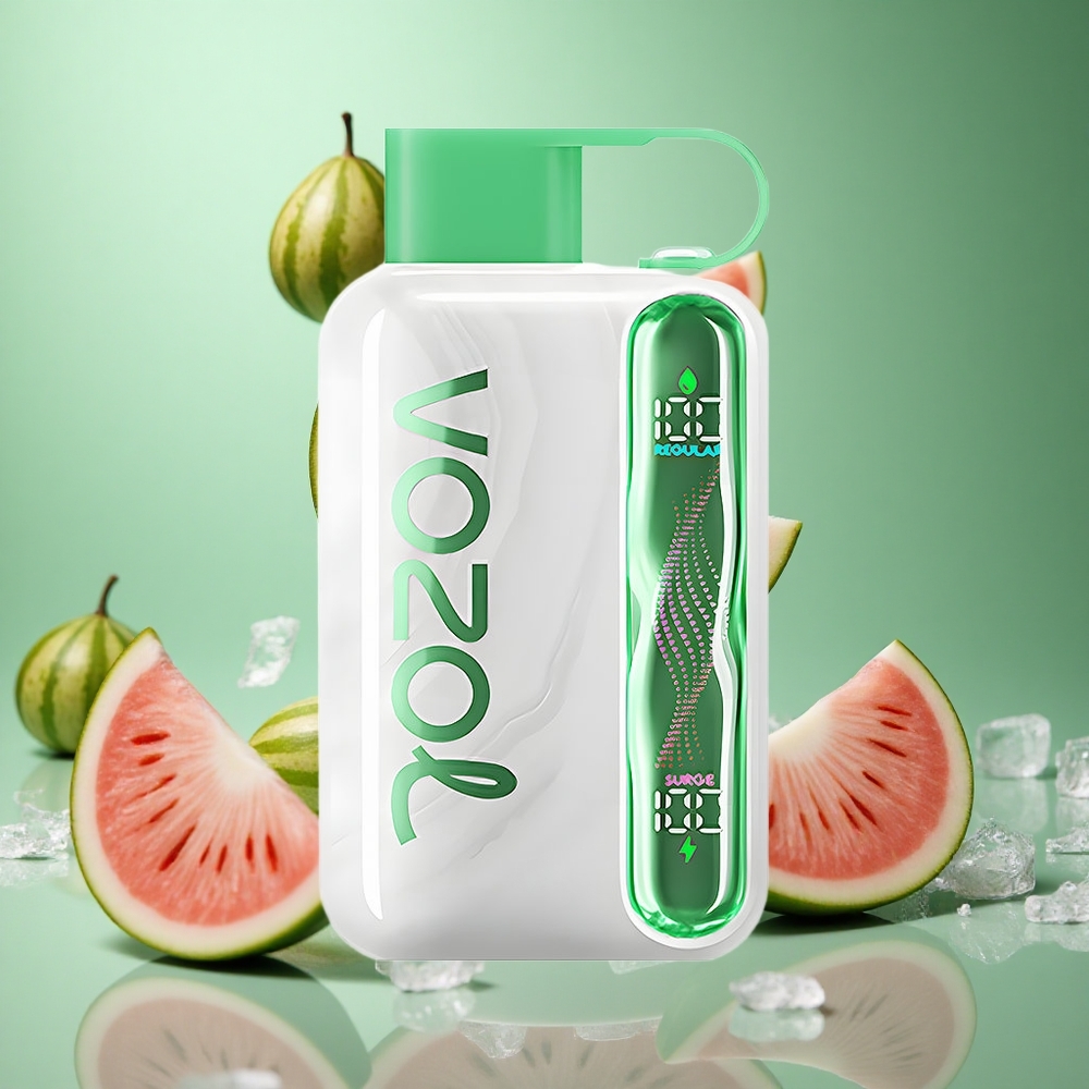 Watermelon Ice VOZOL STAR 40000 Puffs Disposable Vape 1000mAh Type-C