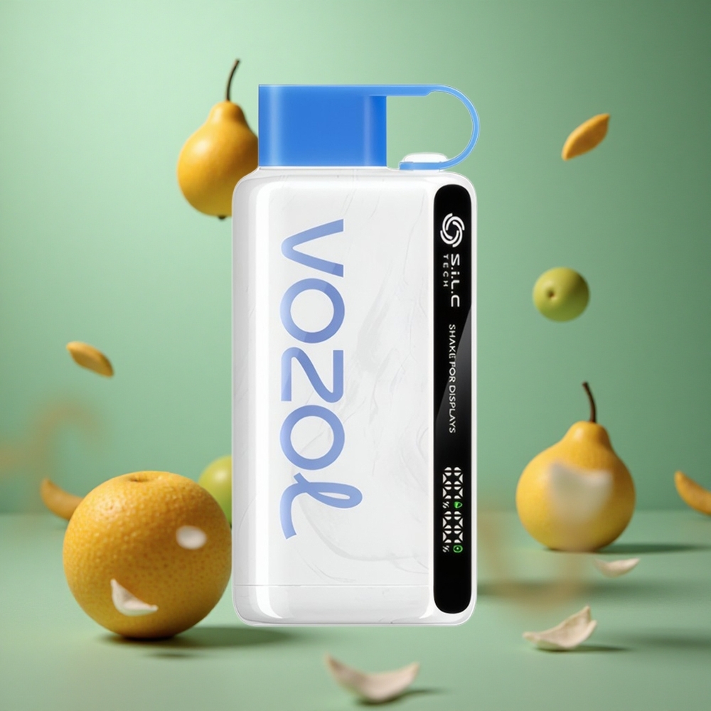 Blueberry Ice VOZOL STAR 9000/12000 650mAh Disposable Vape