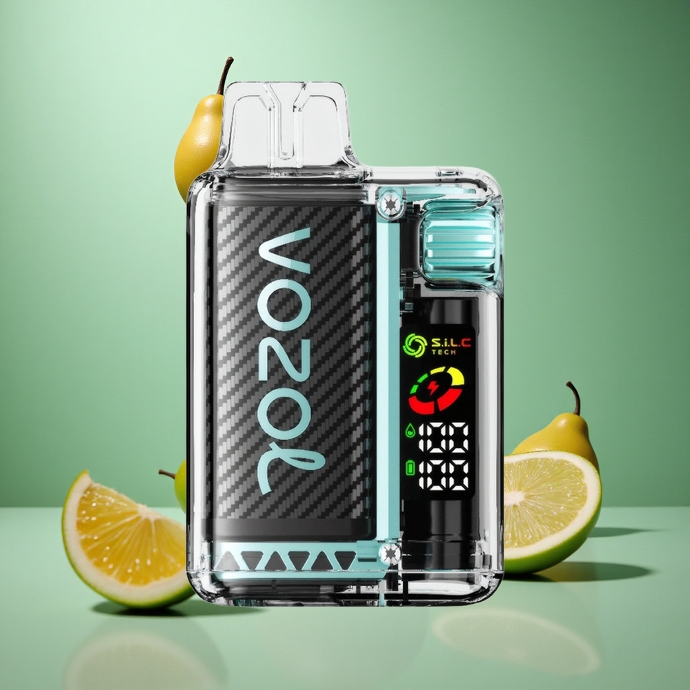 Miami Mint VOZOL Vista 20000 Puffs 650mAh MTL Disposable Vape