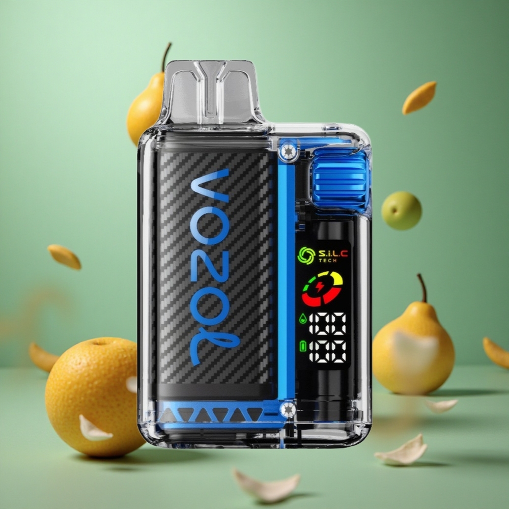 Mint VOZOL Vista 20000 Puffs Rechargeable 650mAh OLED Disposable Vape Vzbull